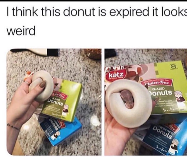 dank memes weird memes - I think this donut is expired it looks weird ktz cuien fnte Glazed Donuts Donuts Donuts Donuts Wdered