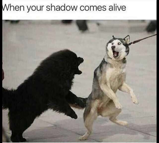 your shadow comes alive - When your shadow comes alive