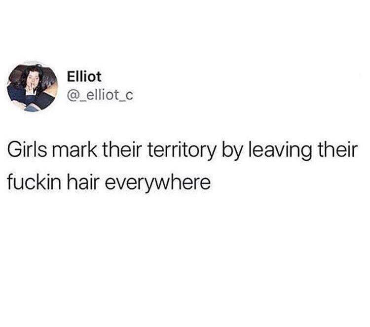 meme date someone you can have fun - Elliot Girls mark their territory by leaving their fuckin hair everywhere