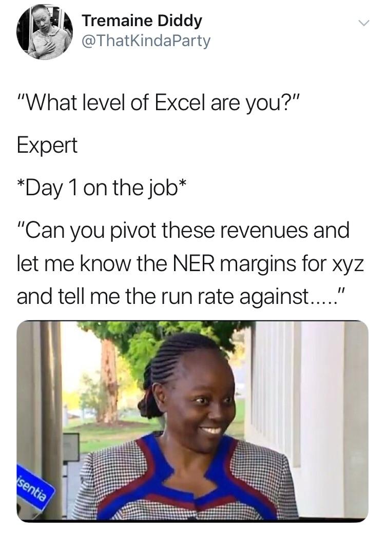 Microsoft Excel - Tremaine Diddy "What level of Excel are you?" Expert Day 1 on the job "Can you pivot these revenues and let me know the Ner margins for xyz and tell me the run rate against....." sentia