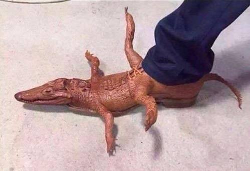 alligator boots meme