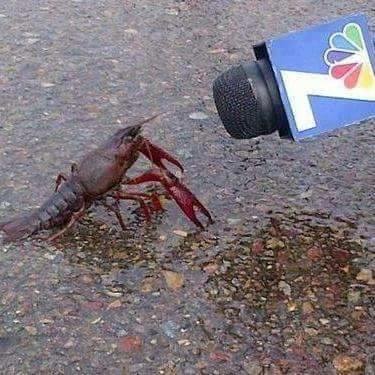 crayfish interview