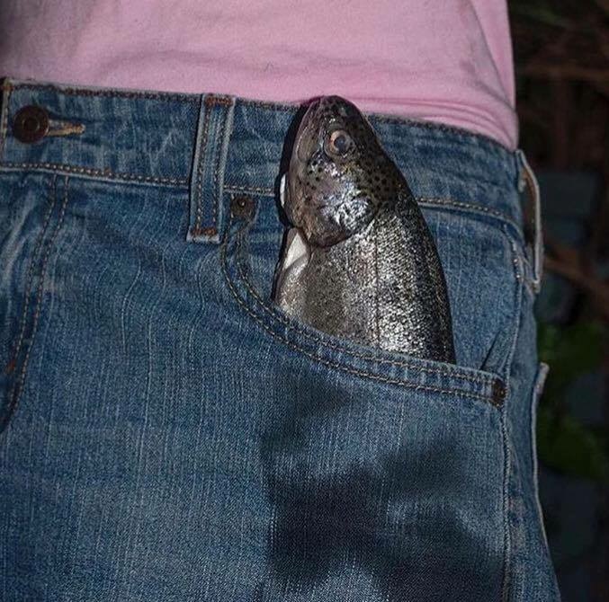 fish in pocket meme