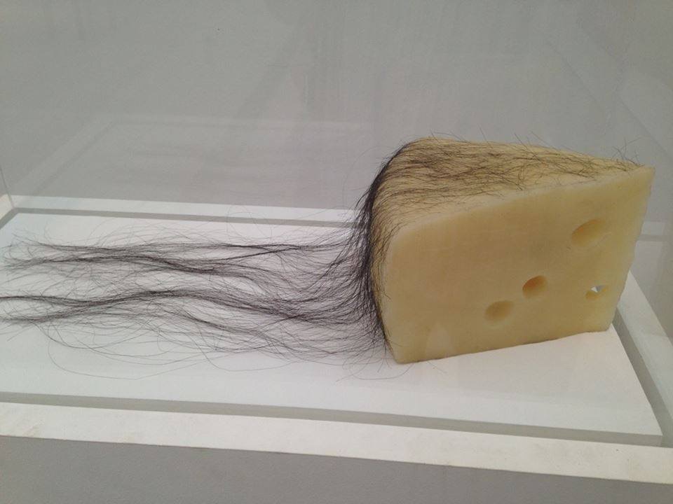 hairy cheese