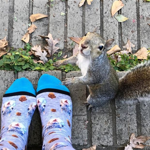 Family Rescues A Squirrel And It Gives Them The Biggest Surprise Ever