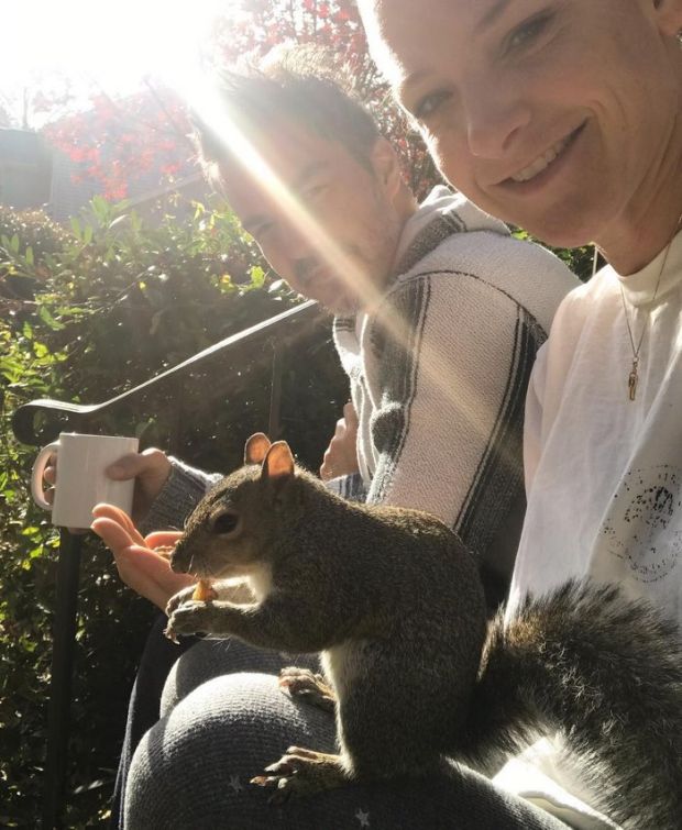 Family Rescues A Squirrel And It Gives Them The Biggest Surprise Ever