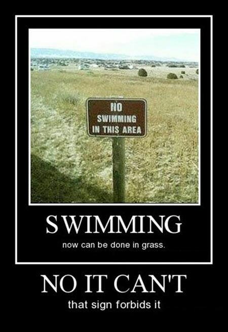funny no swimming sign - Ho Swimming In This Area Swimming now can be done in grass. No It Can'T that sign forbids it