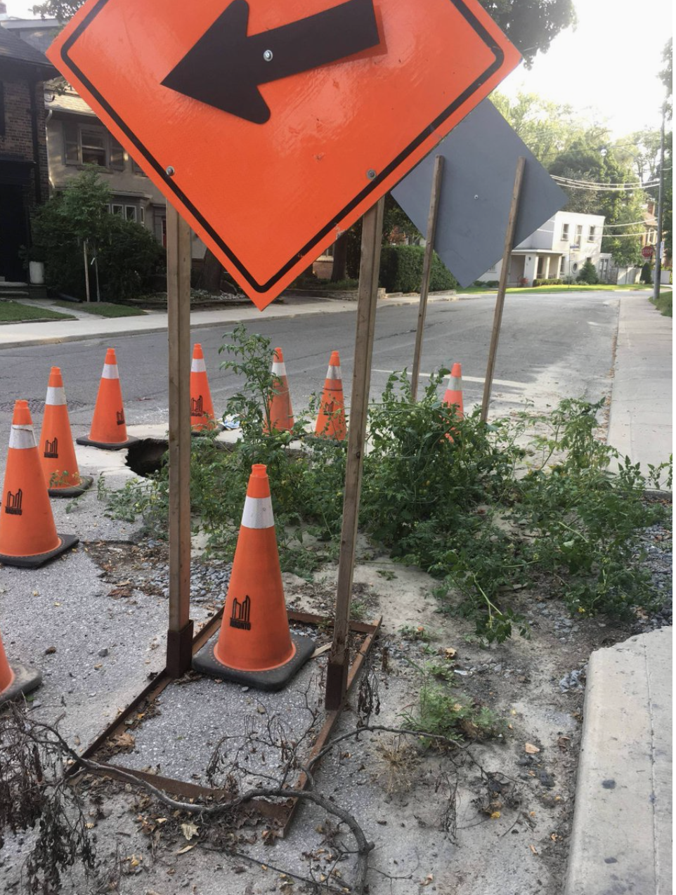 The people of Toronto are nothing if not creative in getting the city's attention when calls to 311 go unheeded. Give us a steep park entrance and you'll get DIY stairs. A confusing intersection? We'll redesign it with chalk and leaves. In some parts of the world, people combat potholes with spray painted penises. Here, we prefer vegetation.