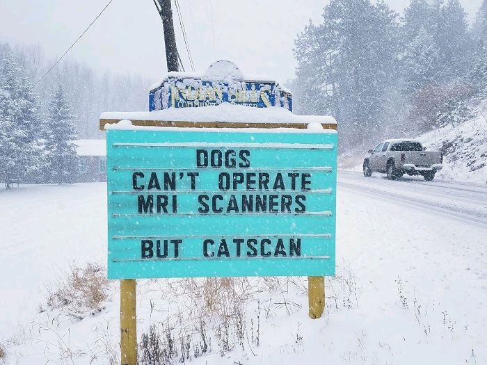 Someone In Colorado Is Putting The Funniest Signs Ever