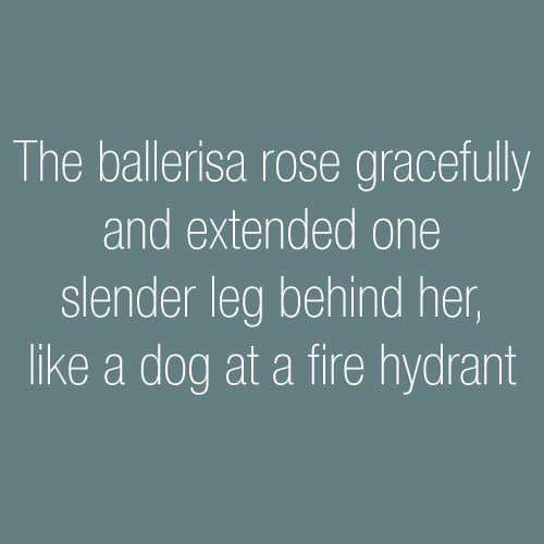 angle - am The ballerisa rose gracefully and extended one slender leg behind her, a dog at a fire hydrant