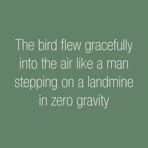 grass - The bird flew gracefully into the air a man stepping on a landmine in zero gravity