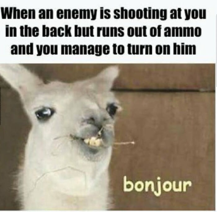 llama bonjour meme - When an enemy is shooting at you in the back but runs out of ammo and you manage to turn on him bonjour