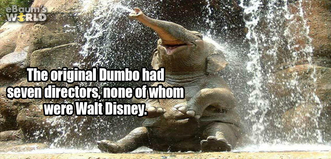 funny baby elephant - Baum's Wsrld The original Dumbo had seven directors, none of whom were Walt Disney..