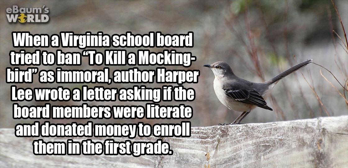 sorry it took so long - eBaum's World When a Virginia school board tried to ban To Kill a Mocking bird"as immoral, author Harper Lee wrote a letter asking if the board members were literate and donated money to enroll them in the first grade.