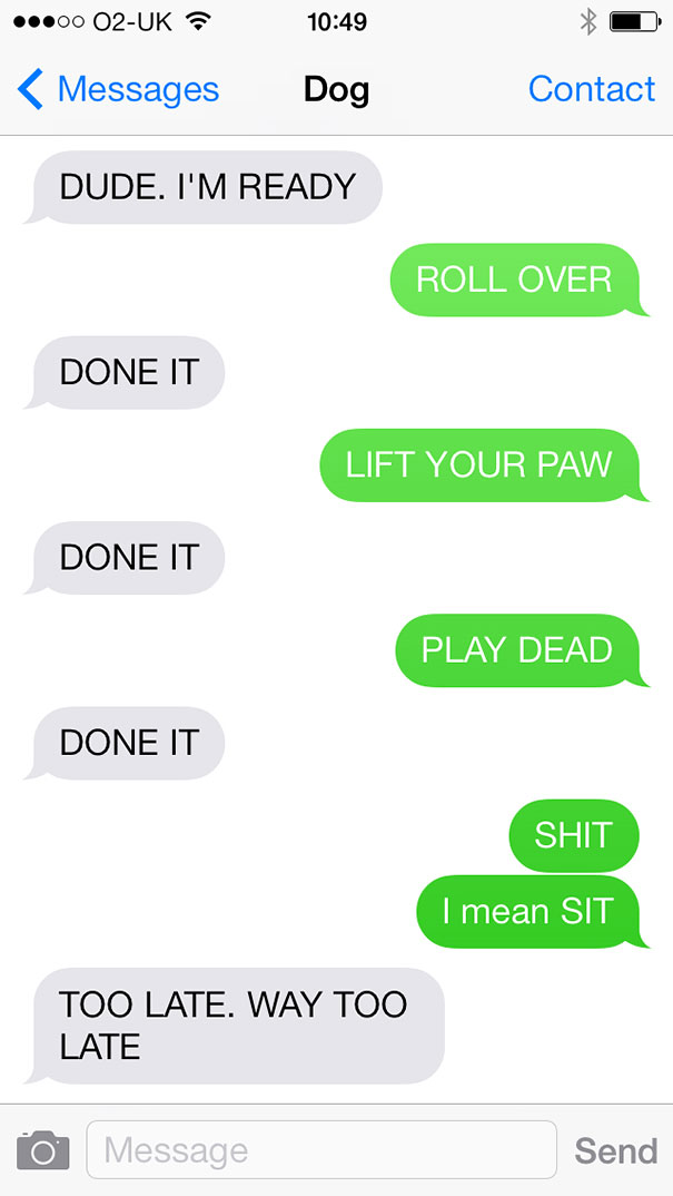 What If Dogs Could Text?