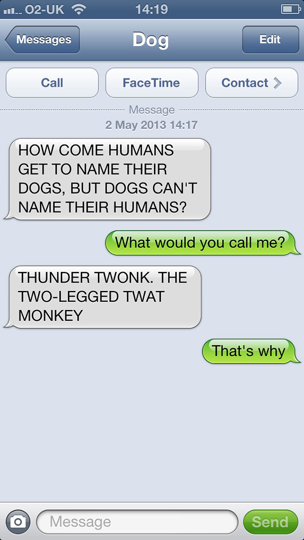 What If Dogs Could Text?