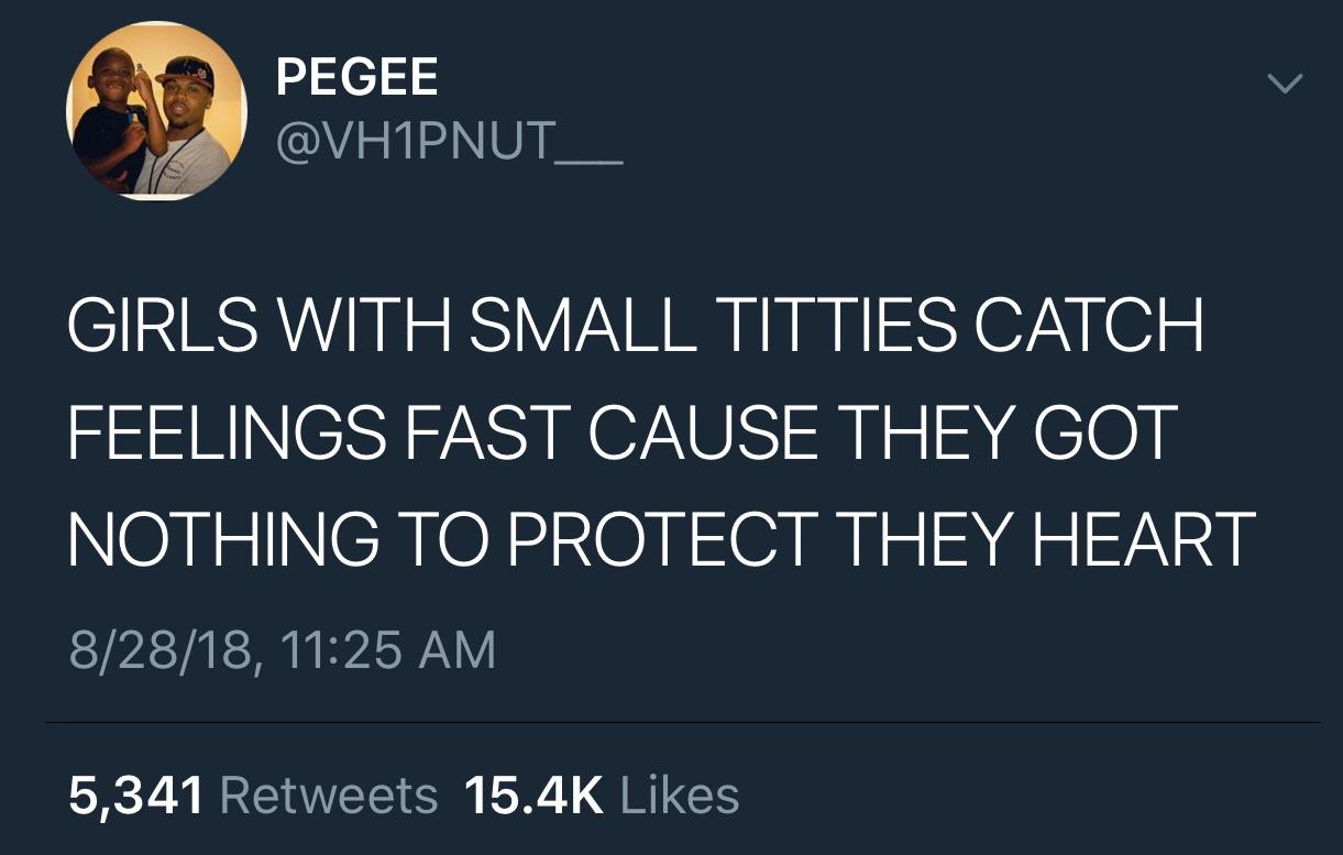 tweet - devil wears prada text post - Pegee Girls With Small Titties Catch Feelings Fast Cause They Got Nothing To Protect They Heart '82818, 5,341