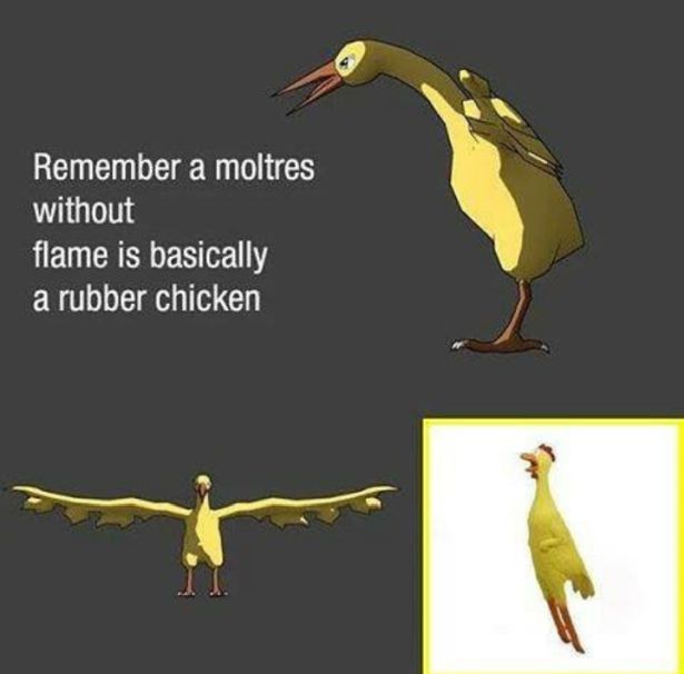 moltres without flames - Remember a moltres without flame is basically a rubber chicken