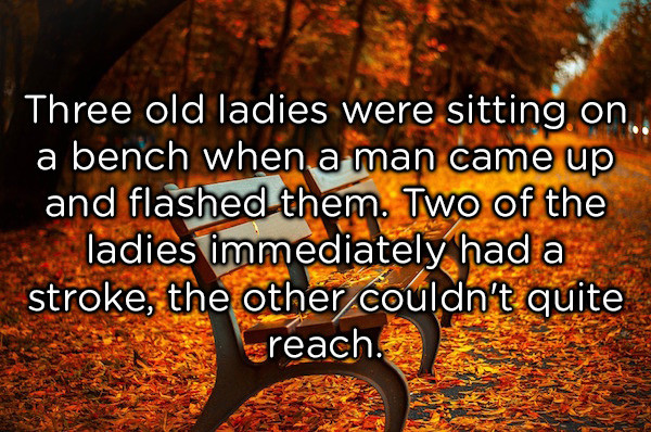 dad jokes -  autumn fall - Three old ladies were sitting on a bench when a man came up and flashed them. Two of the ladies immediately had a stroke, the other couldn't quite reach.