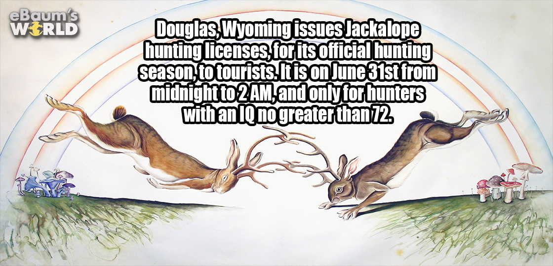 cartoon - eBaum's World Douglas, Wyoming issues Jackalope hunting licenses, for its official hunting season, to tourists. It is on June 31st from midnight to 2 Am, and only for hunters with an Iq no greater than 72