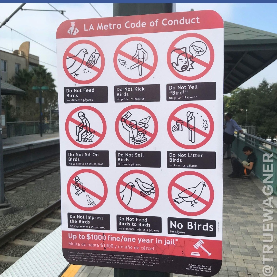 train rules - Sla Metro Code of Conduct Do Not Kick Do Not Feed Birds Do Not Yell "Bird! Birds Do Not sit on Birds Do Not Sell Birds Do Not Litter Birds Heim pa A Do Not Impress the Birds Do Not Feed Sirds to Birds No Birds Up to $1000 fineone year in jai
