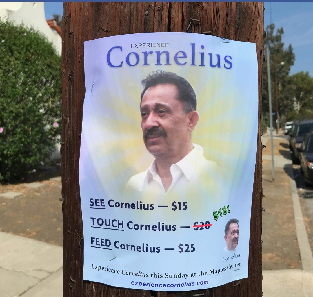 experience cornelius - Experience Cornelius See Cornelius $15 Touch Cornelius $20 $48! Feed Cornelius $25 Experience Cornelius this Cornelius at the Maples Center experiencecornelius.com