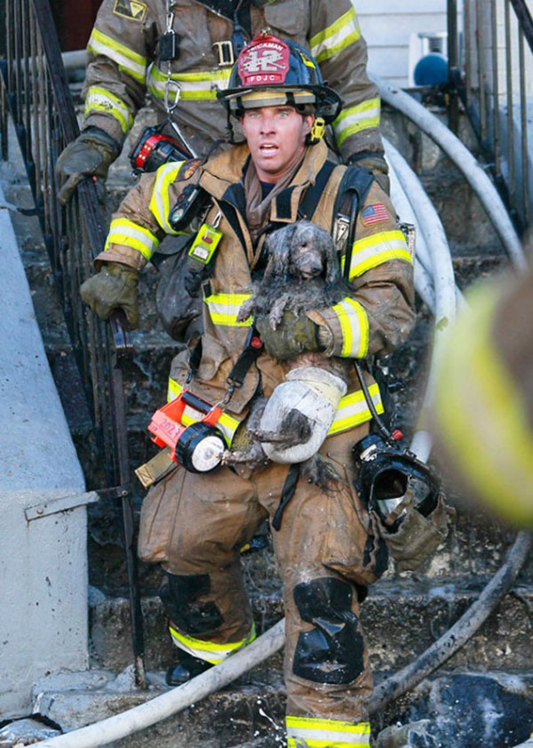 15 Photos Of Fireman Who Just Saved Animals, To Restore Your Faith In Humanity