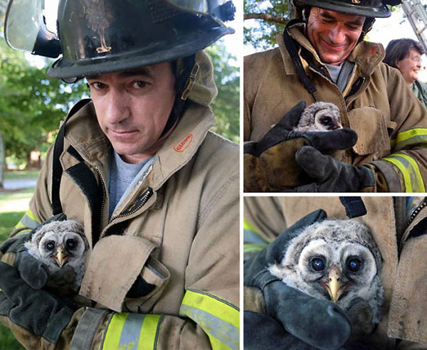 15 Photos Of Fireman Who Just Saved Animals, To Restore Your Faith In Humanity