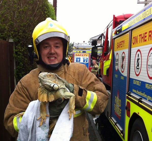 15 Photos Of Fireman Who Just Saved Animals, To Restore Your Faith In Humanity