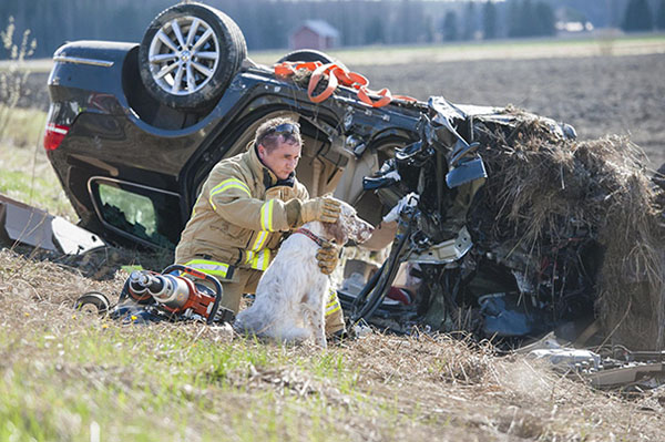 15 Photos Of Fireman Who Just Saved Animals, To Restore Your Faith In Humanity