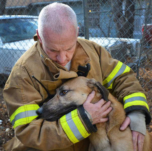 15 Photos Of Fireman Who Just Saved Animals, To Restore Your Faith In Humanity