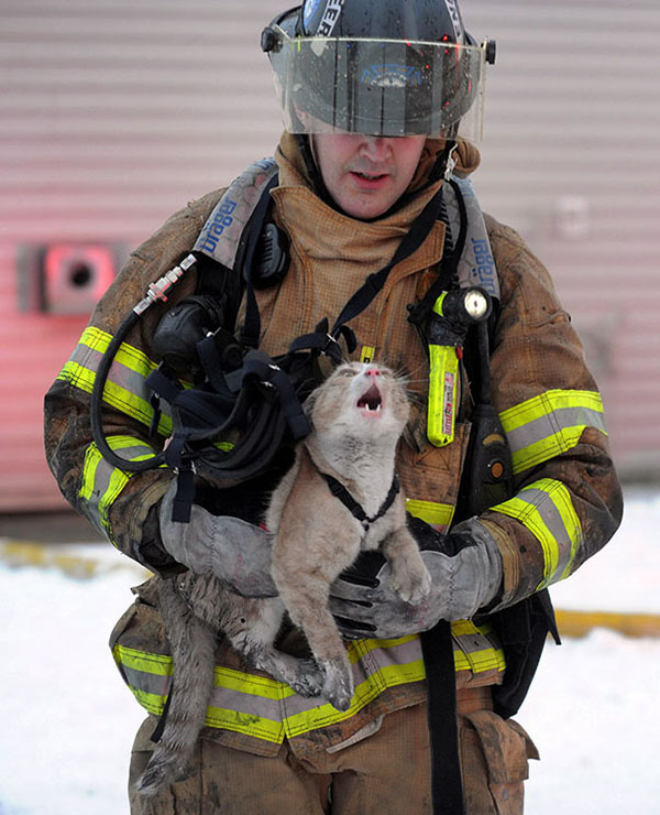 15 Photos Of Fireman Who Just Saved Animals, To Restore Your Faith In Humanity