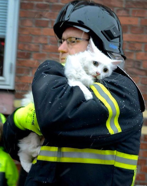 15 Photos Of Fireman Who Just Saved Animals, To Restore Your Faith In Humanity