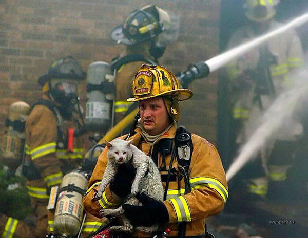 15 Photos Of Fireman Who Just Saved Animals, To Restore Your Faith In Humanity