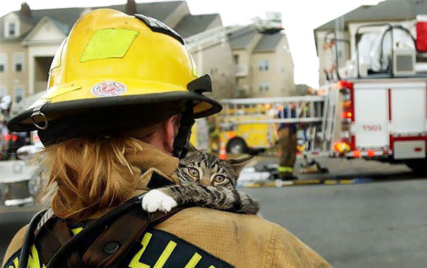 15 Photos Of Fireman Who Just Saved Animals, To Restore Your Faith In Humanity