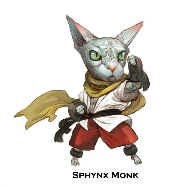 Cat DnD Characters That Will Bring You Joy And Happiness For Caturday