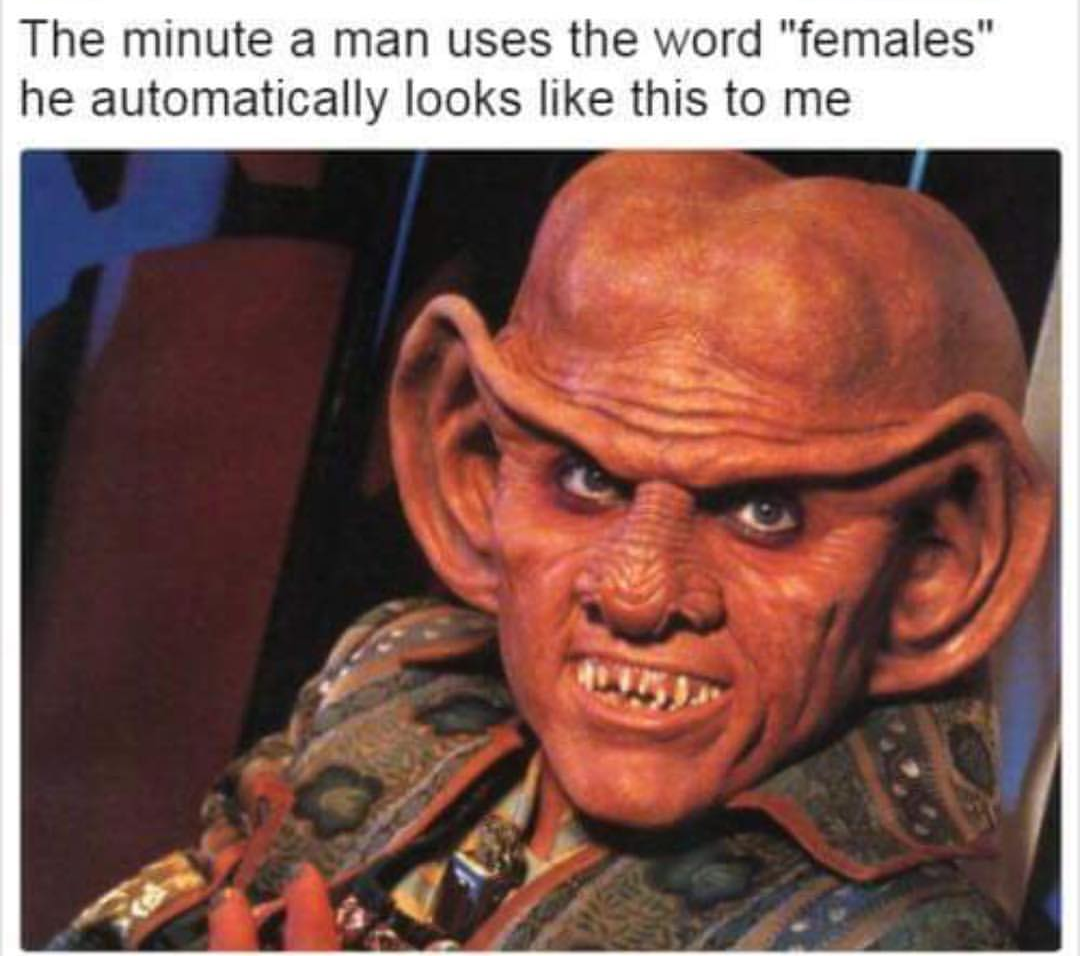meme - when men use the word females