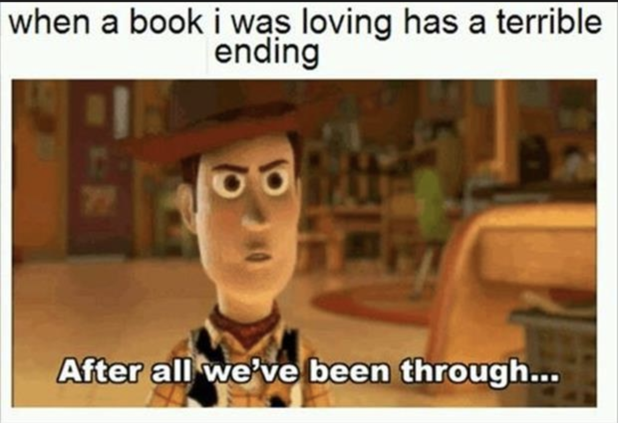 funny sibling memes - when a book i was loving has a terrible ending After all we've been through...