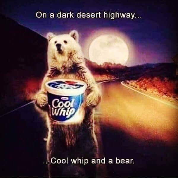 memes - cool whip funny - On a dark desert highway.... ...Cool whip and a bear.
