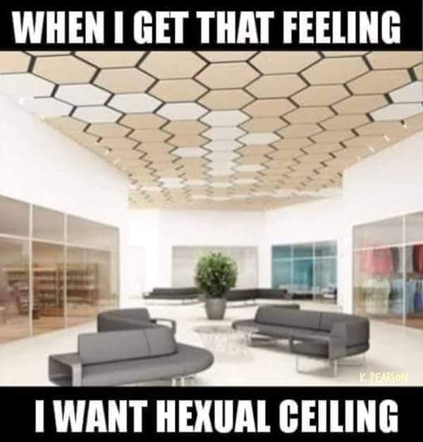 memes - Dropped ceiling - When I Get That Feeling Www Www Vnd K Pearsons I Want Hexual Ceiling