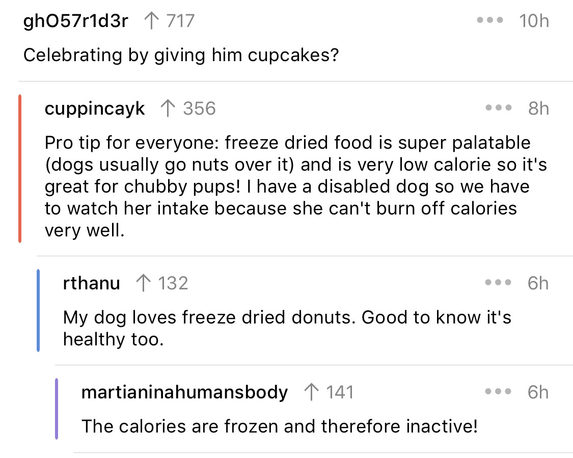 current year site title - 10h gh057r1d3r 1 717 Celebrating by giving him cupcakes? cuppincayk 1 356 ... 8h Pro tip for everyone freeze dried food is super palatable dogs usually go nuts over it and is very low calorie so it's great for chubby pups! I have