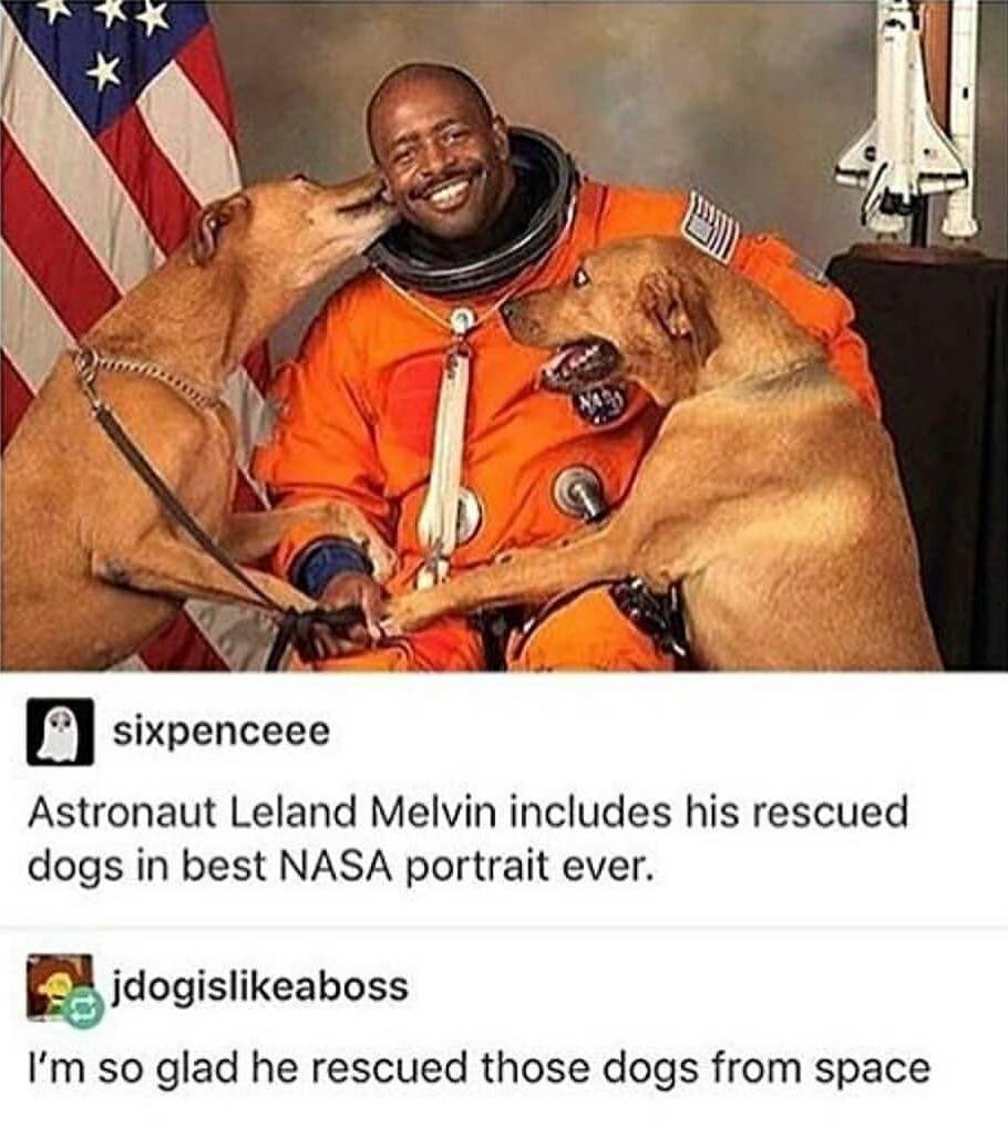 leland melvin nasa - sixpenceee Astronaut Leland Melvin includes his rescued dogs in best Nasa portrait ever. jdogisaboss I'm so glad he rescued those dogs from space