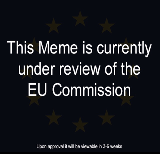 memes - graphics - This Meme is currently under review of the Eu Commission Upon approval it will be viewable in 36 weeks