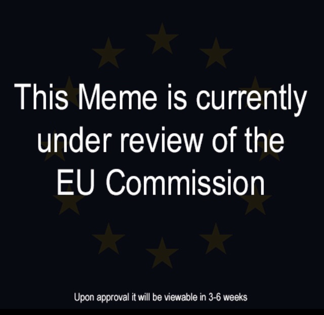 memes - graphics - This Meme is currently under review of the Eu Commission Upon approval it will be viewable in 36 weeks