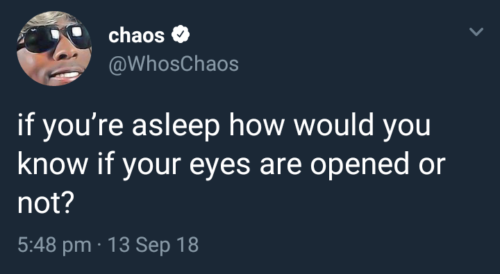 memes - chaos if you're asleep how would you know if your eyes are opened or not? 13 Sep 18