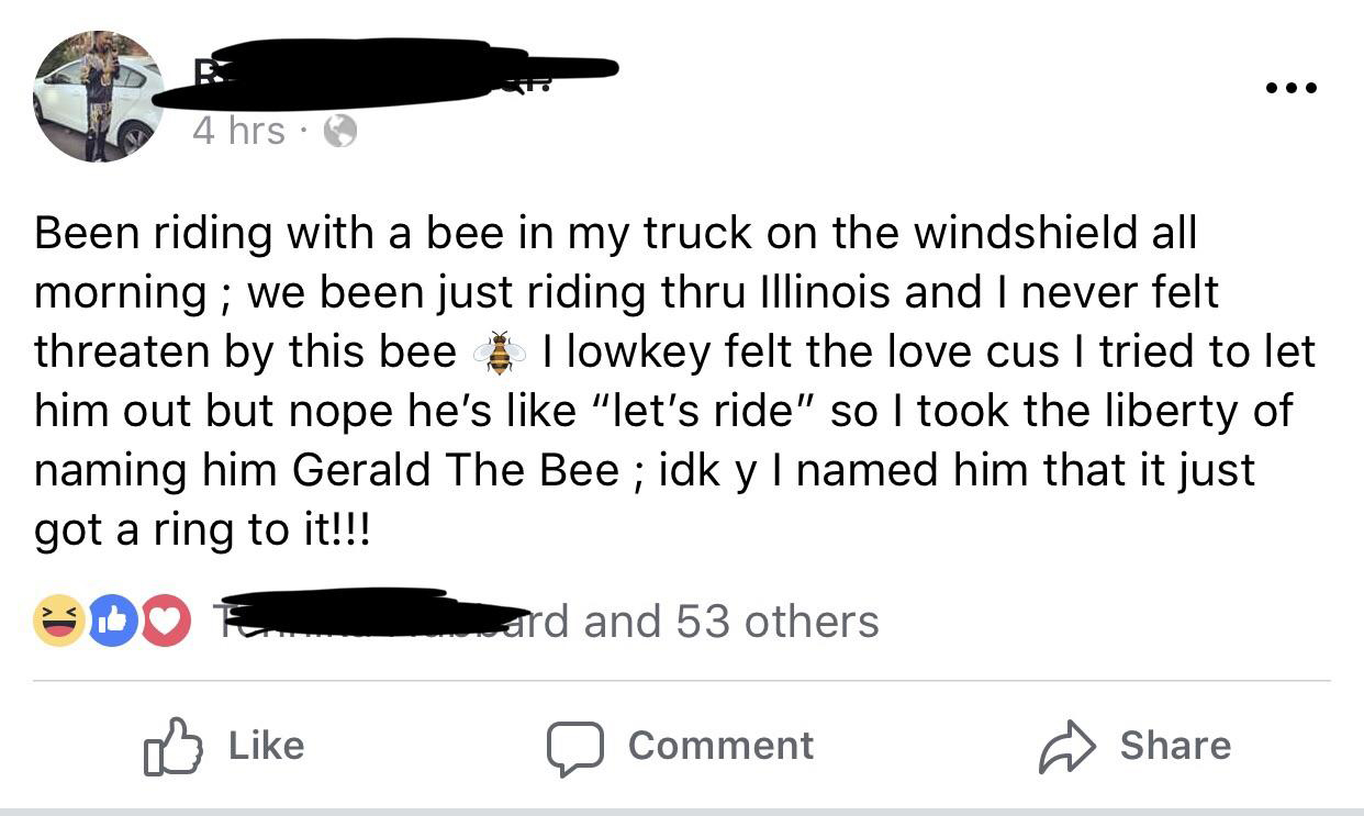 memes - angle - 4 hrs. Been riding with a bee in my truck on the windshield all morning; we been just riding thru Illinois and I never felt threaten by this bee I lowkey felt the love cus I tried to let him out but nope he's "let's ride" so I took the lib