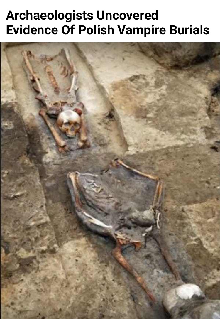Three 14th-century bodies excavated in Poland showed clear signs of posthumous mutilation. Fear of vampires is the likeliest reason. The remains had been decapitated, punctured at the spine, and had their heads wedged between heavy stones. Folklore of the times prescribed such violent measures to prevent the dead from rising again. It’s likely the victims suffered from diseases in life that caused them to be singled out as supernatural or evil in some way. According to researchers, the victims suffered from kyphosis, an unnatural rounding of the back and a deformation some might have attributed to them being vampires. Others may have suffered from cholera.