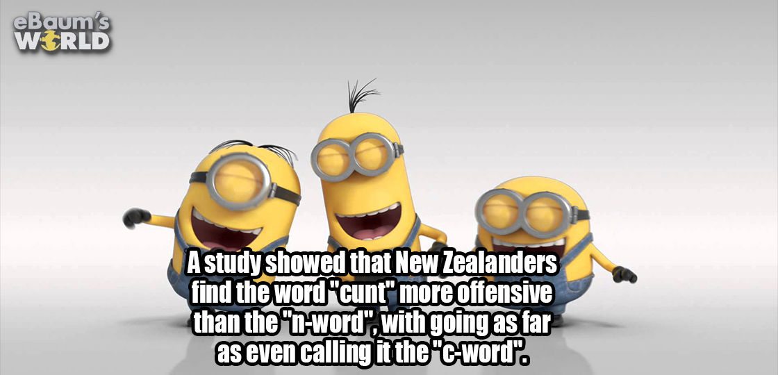 cartoon - eBaum's World A study showed that New Zealanders find the word "cunt" more offensive than the "nword", with going as far as even calling it the "cword".