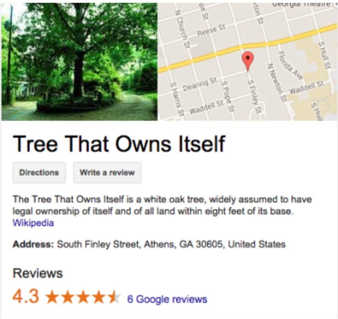 The Odd Story Of The Tree That Legally Owns Itself