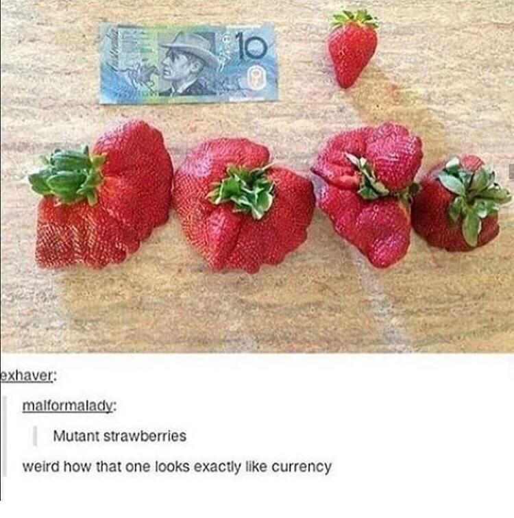 mutant strawberries - exhaver malformalady Mutant strawberries weird how that one looks exactly currency